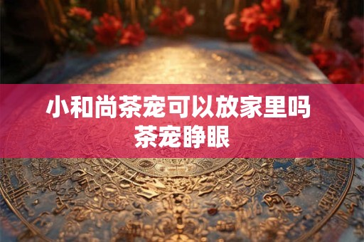 小和尚茶宠可以放家里吗 茶宠睁眼