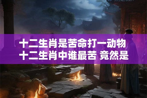 十二生肖是苦命打一动物 十二生肖中谁最苦 竟然是它！