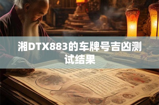 湘DTX883的车牌号吉凶测试结果