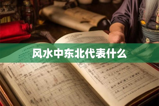 风水中东北代表什么