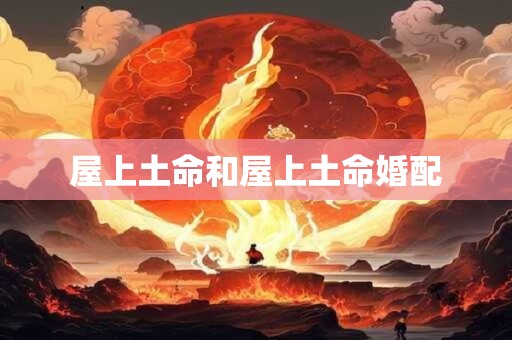 屋上土命和屋上土命婚配