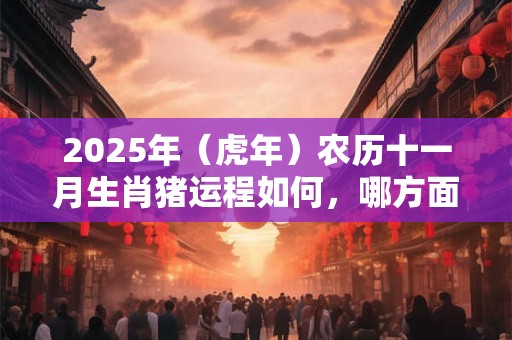 2025年（虎年）农历十一月生肖猪运程如何，哪方面运势最佳？