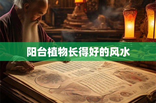 阳台植物长得好的风水