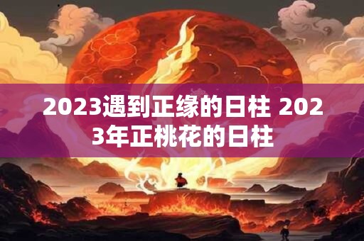 2023遇到正缘的日柱 2023年正桃花的日柱
