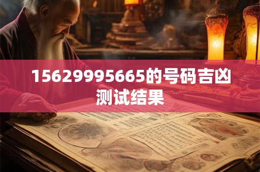 15629995665的号码吉凶测试结果