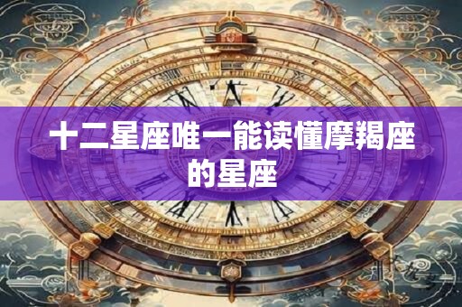 十二星座唯一能读懂摩羯座的星座