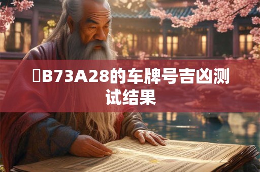 粵B73A28的车牌号吉凶测试结果