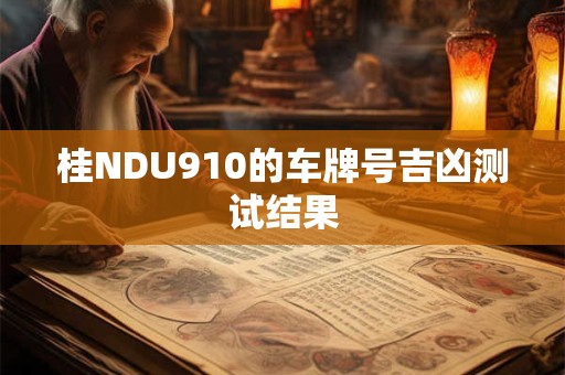 桂NDU910的车牌号吉凶测试结果