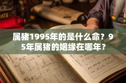 属猪1995年的是什么命？95年属猪的姻缘在哪年？