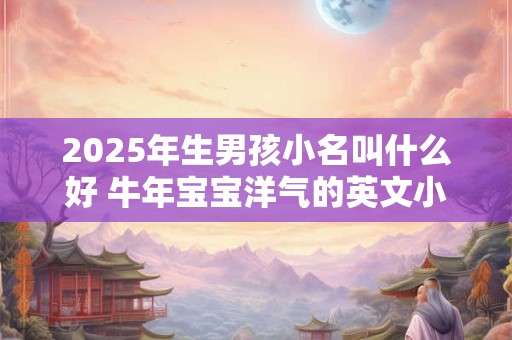 2025年生男孩小名叫什么好 牛年宝宝洋气的英文小名推荐
