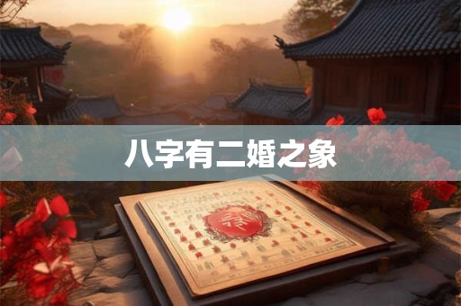 八字有二婚之象
