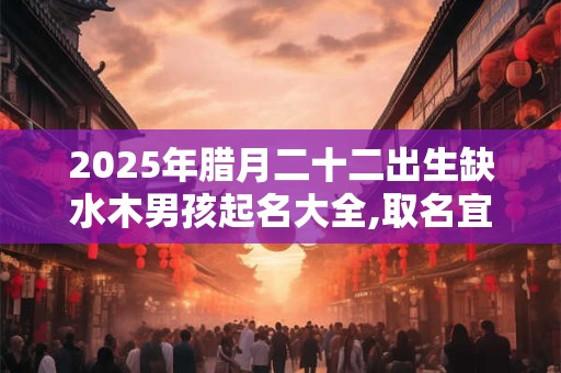 2025年腊月二十二出生缺水木男孩起名大全,取名宜用字