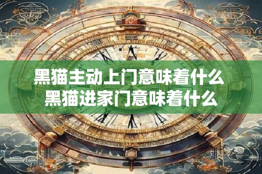 黑猫主动上门意味着什么 黑猫进家门意味着什么