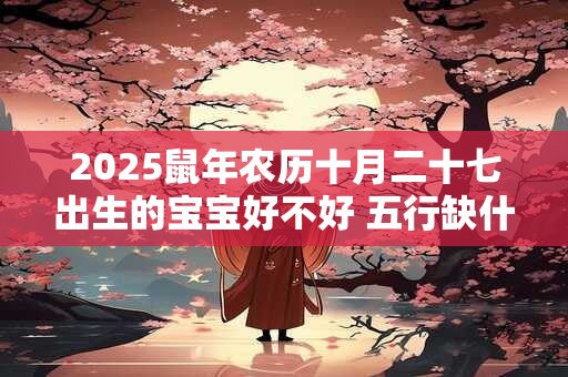 2025鼠年农历十月二十七出生的宝宝好不好 五行缺什么
