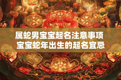 属蛇男宝宝起名注意事项 宝宝蛇年出生的起名宜忌