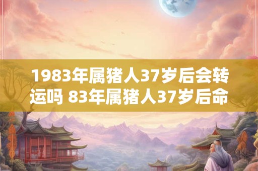 1983年属猪人37岁后会转运吗 83年属猪人37岁后命运如何 1983年属猪人37岁后会转运吗 83年属猪人37岁后命运如何