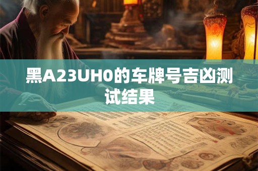 黑A23UH0的车牌号吉凶测试结果