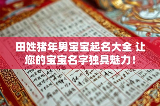 田姓猪年男宝宝起名大全 让您的宝宝名字独具魅力！