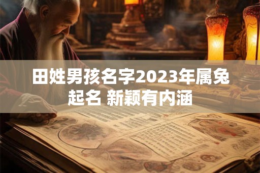田姓男孩名字2023年属兔起名 新颖有内涵