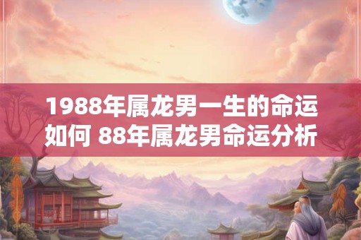 1988年属龙男一生的命运如何 88年属龙男命运分析