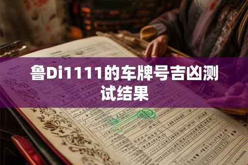 鲁Di1111的车牌号吉凶测试结果
