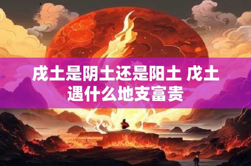 戌土是阴土还是阳土 戊土遇什么地支富贵