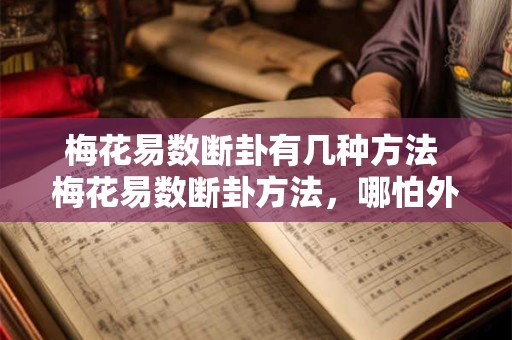 梅花易数断卦有几种方法 梅花易数断卦方法，哪怕外行也能懂
