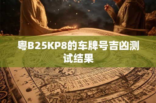 粤B25KP8的车牌号吉凶测试结果