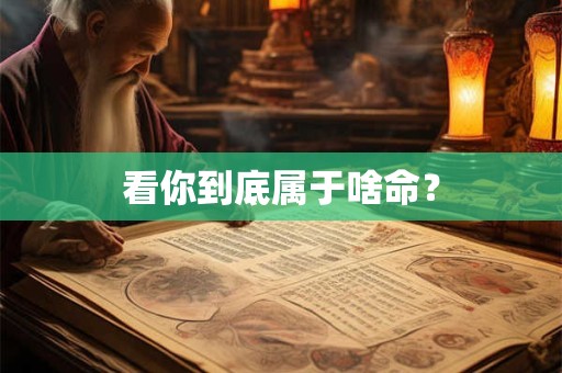 看你到底属于啥命？