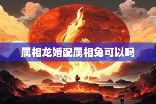 属相龙婚配属相兔可以吗