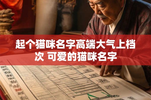 起个猫咪名字高端大气上档次 可爱的猫咪名字