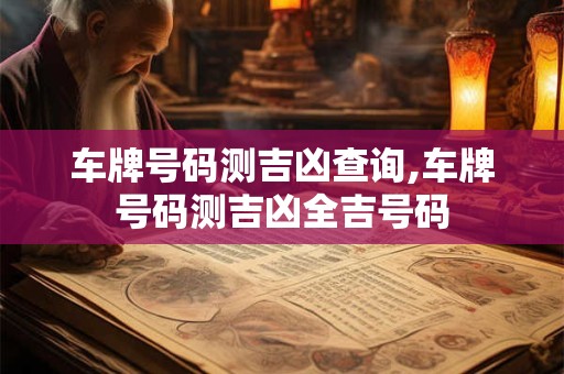 车牌号码测吉凶查询,车牌号码测吉凶全吉号码