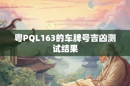 粤PQL163的车牌号吉凶测试结果