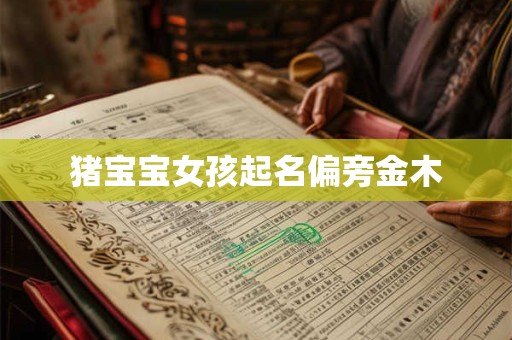 猪宝宝女孩起名偏旁金木