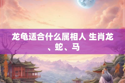 龙龟适合什么属相人 生肖龙、蛇、马