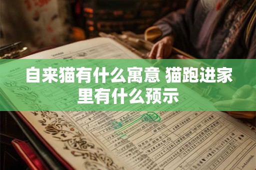 自来猫有什么寓意 猫跑进家里有什么预示