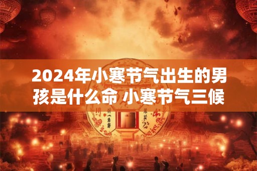 2024年小寒节气出生的男孩是什么命 小寒节气三候解析