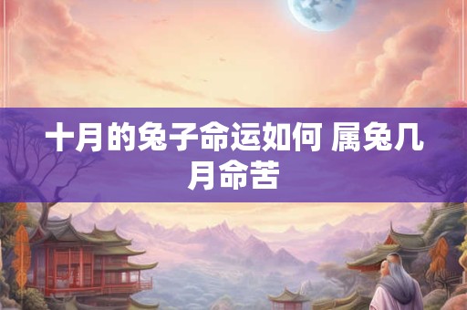 十月的兔子命运如何 属兔几月命苦