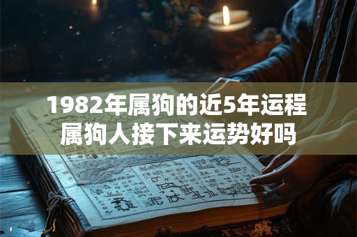 1982年属狗的近5年运程 属狗人接下来运势好吗