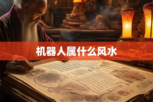 机器人属什么风水