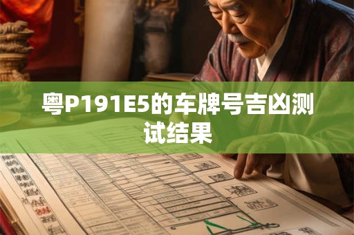 粤P191E5的车牌号吉凶测试结果