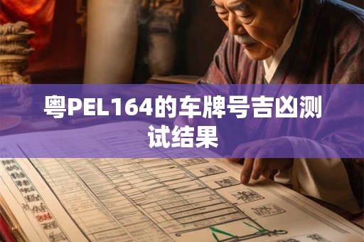 粤PEL164的车牌号吉凶测试结果