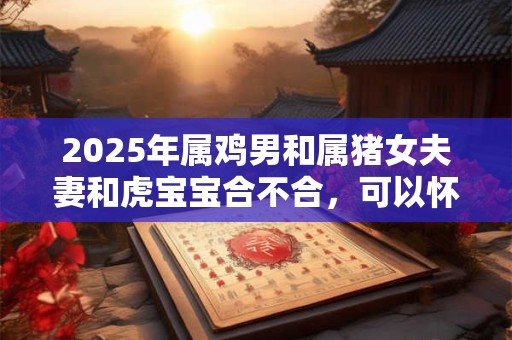 2025年属鸡男和属猪女夫妻和虎宝宝合不合，可以怀孕生子吗？