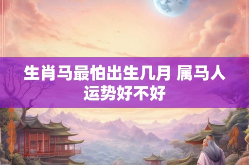 生肖马最怕出生几月 属马人运势好不好