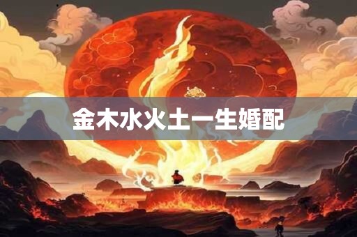 金木水火土一生婚配