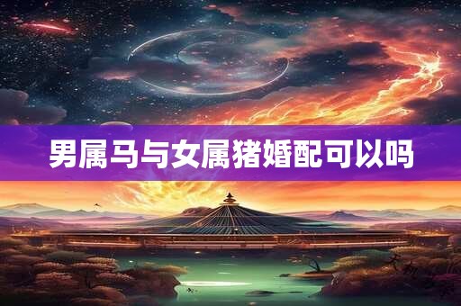男属马与女属猪婚配可以吗
