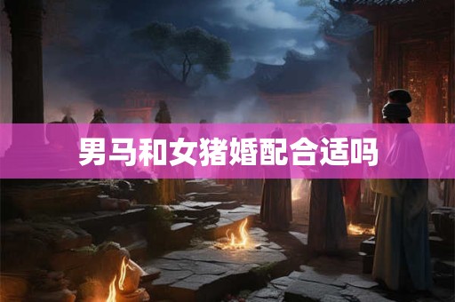男马和女猪婚配合适吗
