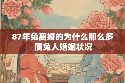 87年兔离婚的为什么那么多 属兔人婚姻状况