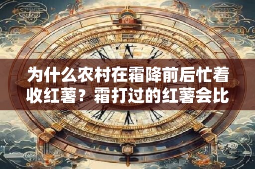 为什么农村在霜降前后忙着收红薯？霜打过的红薯会比较甜？