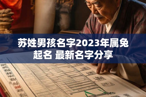 苏姓男孩名字2023年属兔起名 最新名字分享